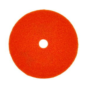 DIAMOND POLISHING DISC
